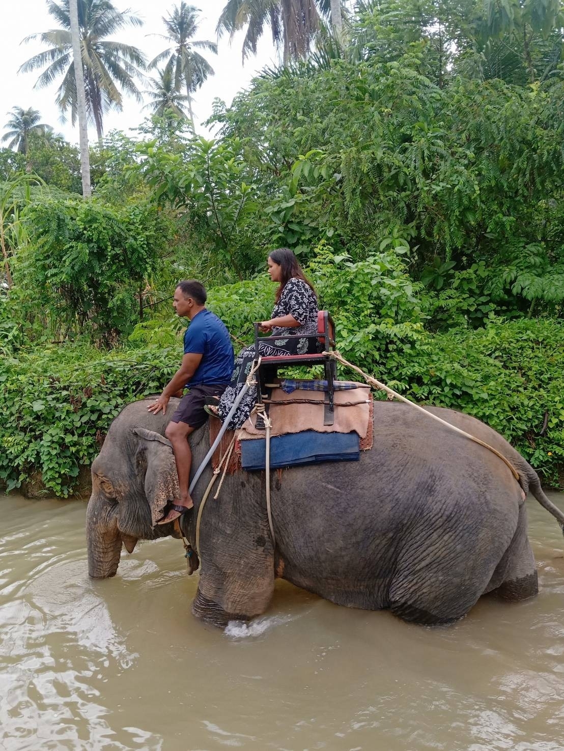 อันดับ 1 ทัวร์ขี่ช้าง กระบี่ ทัวร์นั่งช้างกระบี่