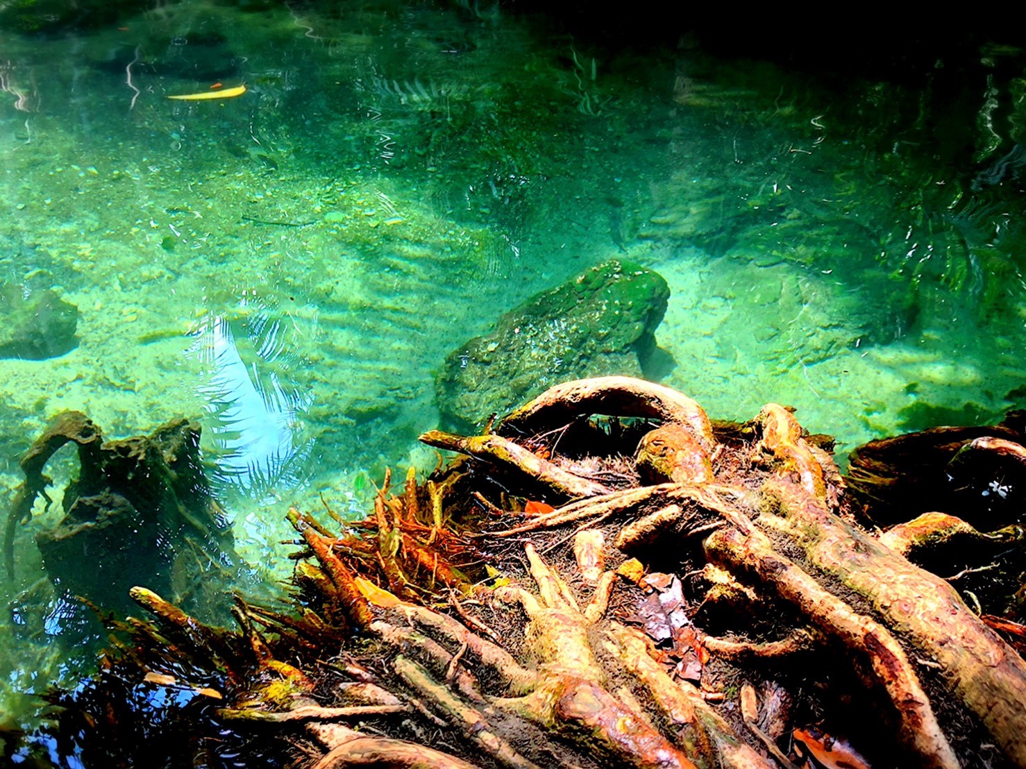 อันดับ 1 เที่ยวกระบี่ พายเรือคายัค คลองน้ำใส ขับ ATV เต็มวัน