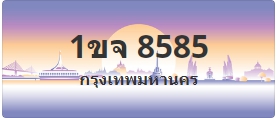 ป้ายประมูล 1ขจ 8585