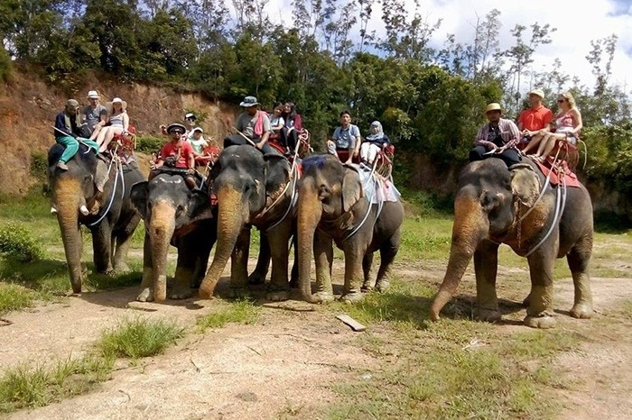 อันดับ 1 ทัวร์ขี่ช้าง กระบี่ ทัวร์นั่งช้างกระบี่