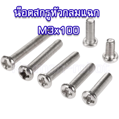 10 x น็อตสกรูหัวกลมแฉก M3x100