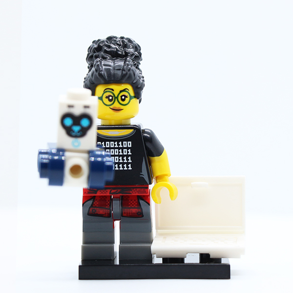 Programmer