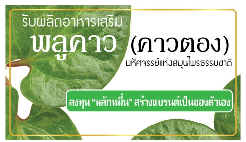 รับผลิตพลูคาว