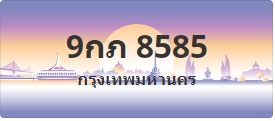 ป้ายประมูล 9กภ 8585