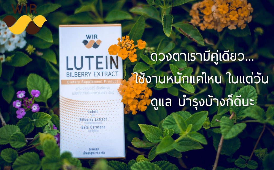 Wir lutein bilberry extract วิตามินบำรุงสายตา ขายดีอันดับ 1
