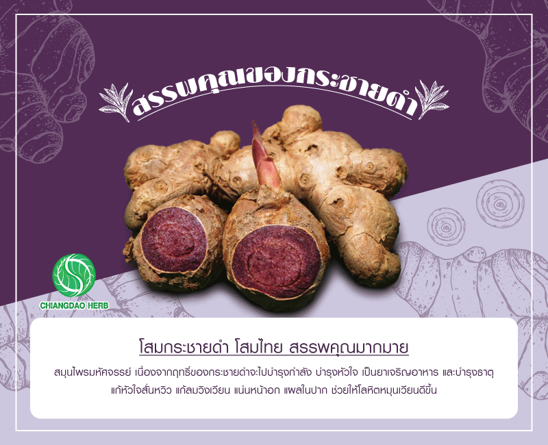 ขายกระชายดำ
