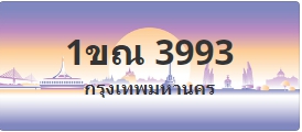 ป้ายประมูล 1ขณ 3993