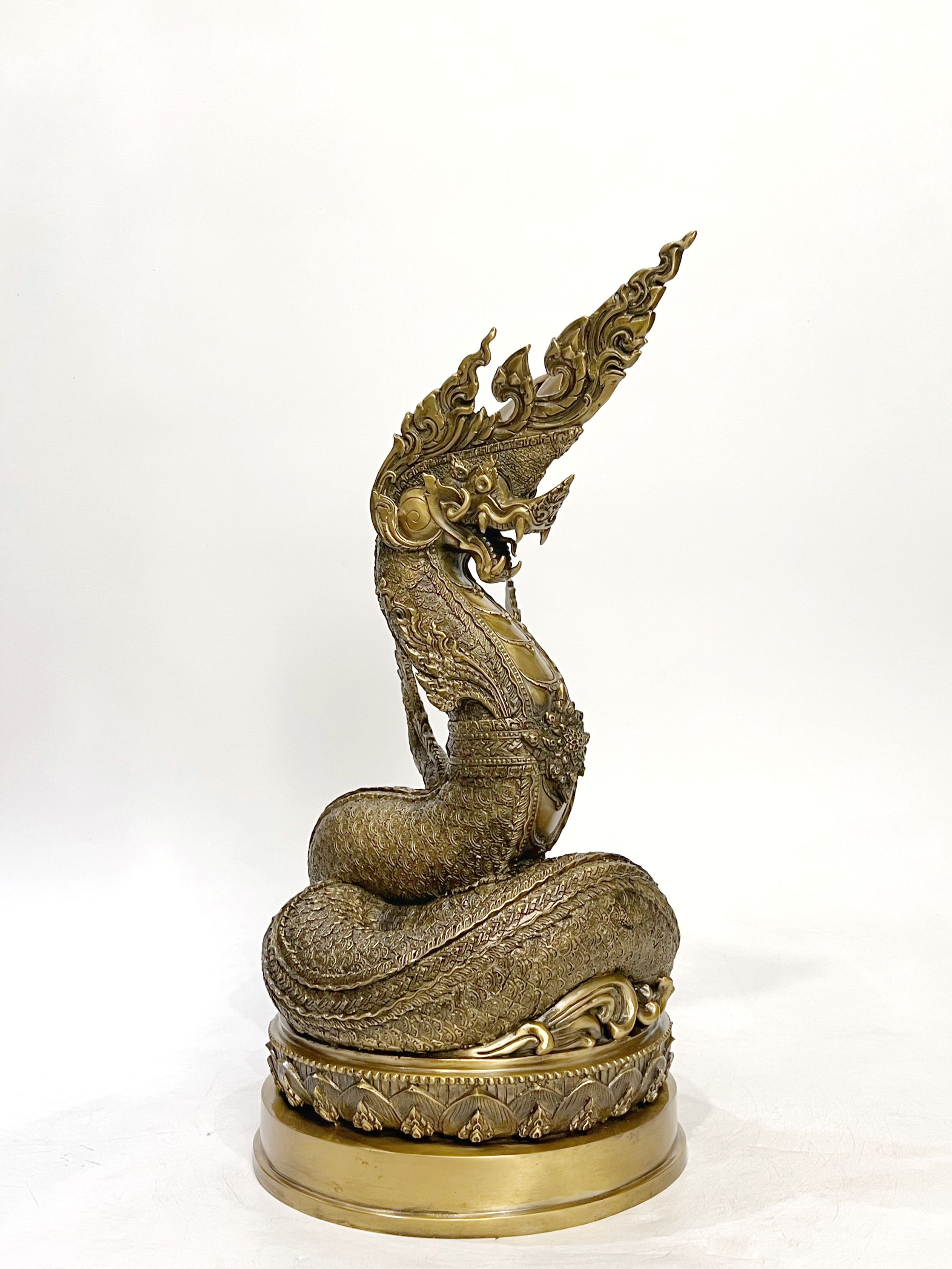 พญานาคราชทรัพย์อนันต์ พญานาค 1 เศียร