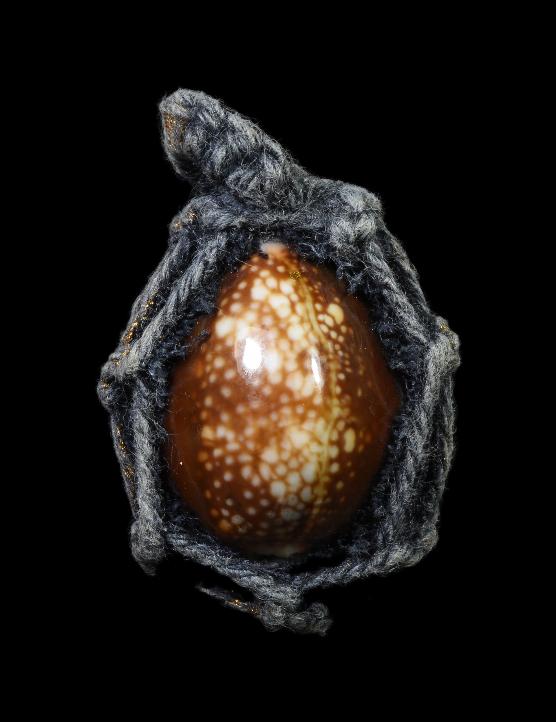 เบี้ยแก่ถักเชือก หลังตระกุด