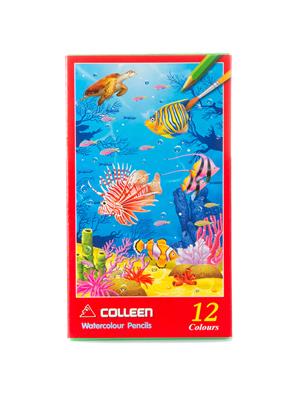 สีไม้ระบายน้ำ Colleen 12สี (ขายยกโหล12กล่อง)
