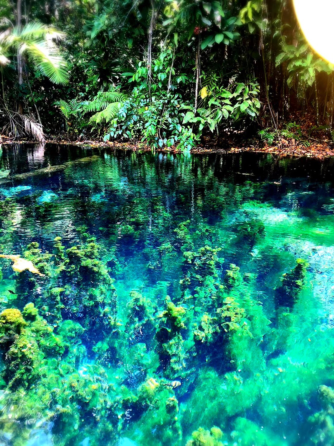 อันดับ 1 เที่ยวกระบี่ คลองหรูด คลองน้ำใส พายเรือคายัค ครึ่งวัน หนองทะเล อ่าวนาง กระบี่