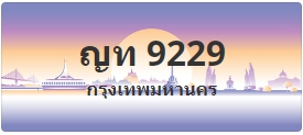 ป้ายประมูล ญท 9229