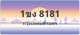 ป้ายประมูล 1ขง 8181