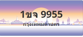 ป้ายประมูล 1ขจ 9955