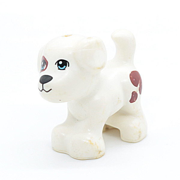 Dog, Friend