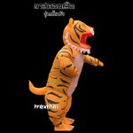 ชุดมาสคอตเสือ ชุดแฟนซีเสือ