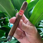 Quintero – Favoritos "5*1/2x41"