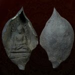 พระรอดใบโพธิ์ เนื้อดำ