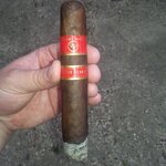 Rocky Patel Sungrown 5½"x50