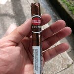 ซิการ์ phillies ช้อคโกแล็ต("5x42") ไม่ตัด