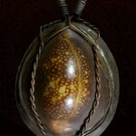 เบี้ยแก้หลวงปู่บุญ วัดกลางบางแก้ว