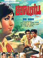 ยอดแก่น [2511 - มิตร, เพชรา]