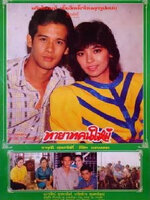 ทายาทคนใหม่ [2531 - จารุณี, ลิขิต]