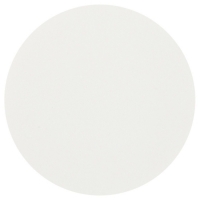 เส้นผ่าศูนย์กลาง DIAMETER 25MM. PORE SIZE 0.45µm WHATMAN #70000002