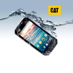 CAT Brand For You