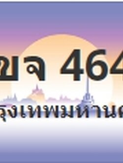 ป้ายประมูล 1ขจ 4646