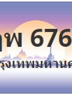 ป้ายประมูล ฎพ 6767
