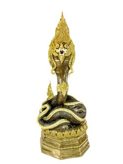 พญานาค สูง 159 cm.