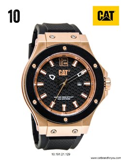 CAT Watches Codex 10.191.21.129