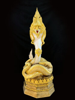 พญานาค สูง 159 cm.