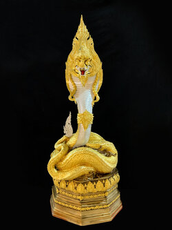 พญานาค สูง 159 cm.