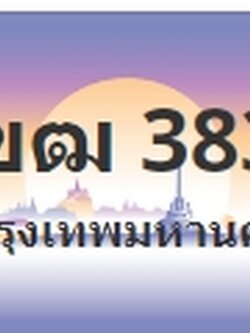 ป้ายประมูล 1ขฒ 3838
