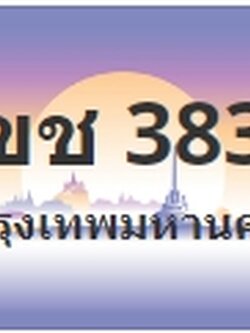 ป้ายประมูล 1ขช 3838