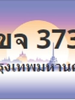 ป้ายประมูล 1ขจ 3737