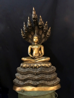 พระนาคปรก หน้าตัก 16 นิ้ว