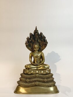 พระนาคปรก หน้าตัก 5 นิ้ว