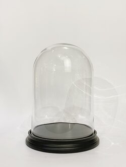 ครอบแก้ว