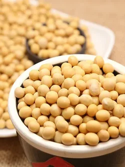 ขายส่งผลิตภัณฑ์อาหารเสริม สารสกัดจากถั่วเหลือง 350 มก.