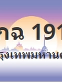 ป้ายประมูล 9กฉ 1919