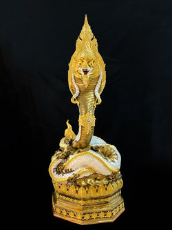 พญานาค สูง 149 cm.