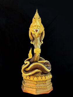 พญานาค สูง 159 cm.