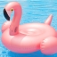 ห่วงยางแฟนซี นกฟลามิงโก (Rose flamingo)
